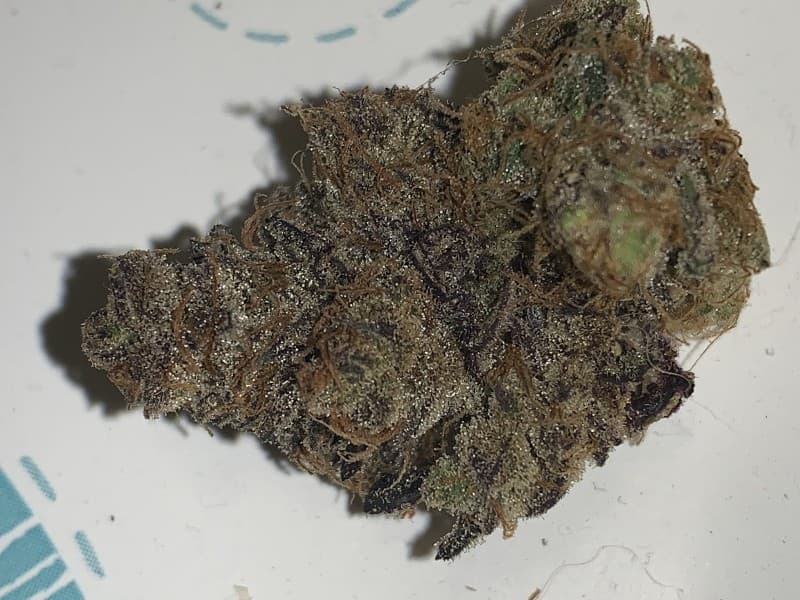 Apple Pie cannabis strain, community photo 4