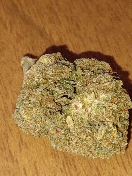 Area 51 cannabis strain, community photo 1