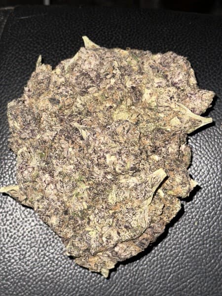 Bahama Mama cannabis strain, community photo 2