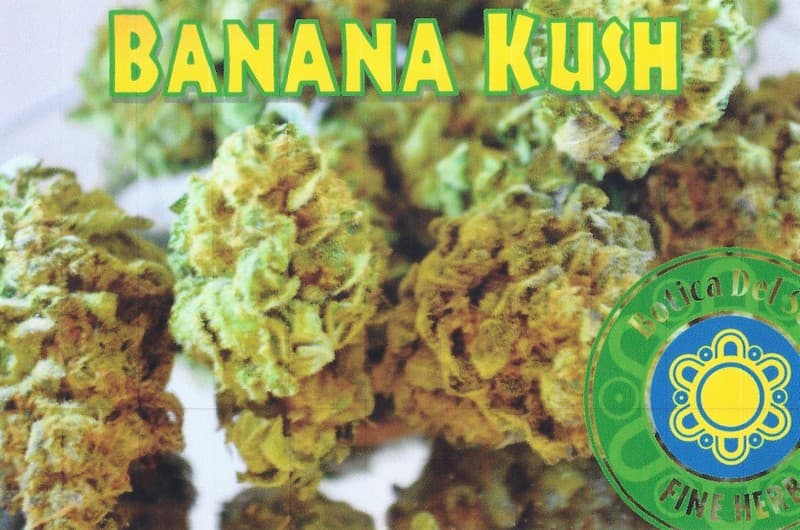 Banana Kush cannabis strain, community photo 1