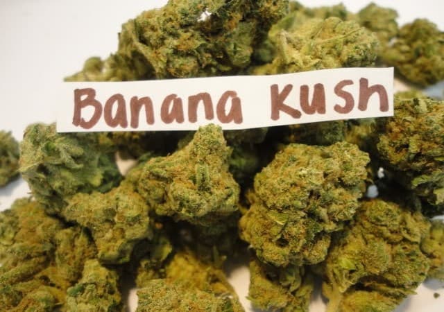 Banana Kush cannabis strain, community photo 4