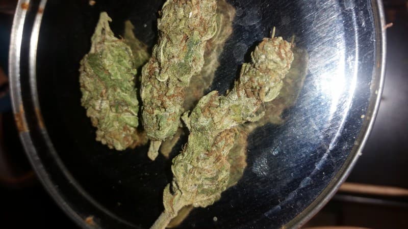 Banana Kush cannabis strain, community photo 7