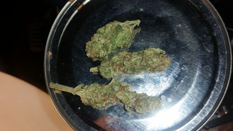 Banana Kush cannabis strain, community photo 8