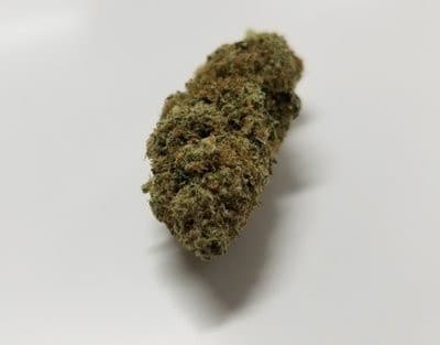 Banana OG cannabis strain, community photo 3