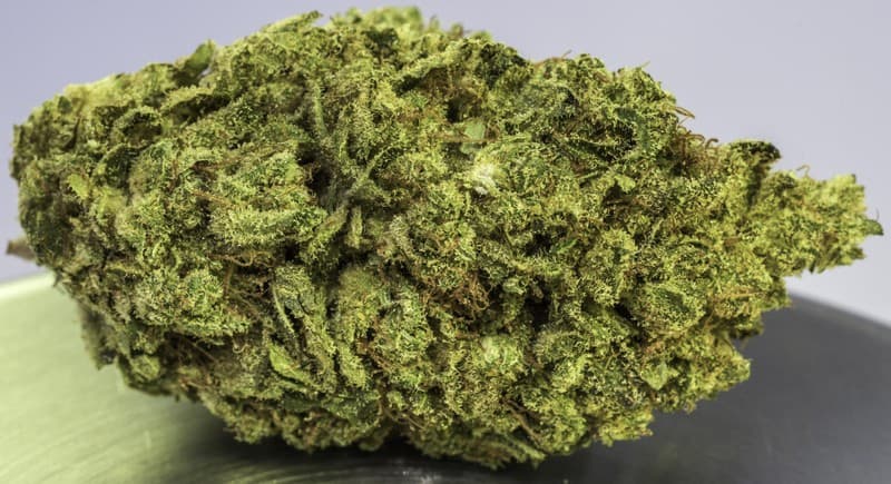 Banana OG cannabis strain, community photo 6