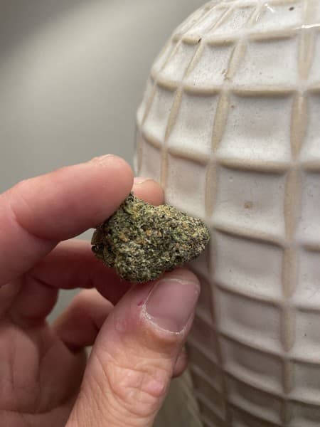 Berry Pie cannabis strain, community photo 1