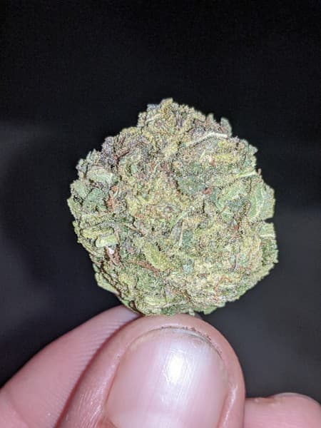 Big Smooth cannabis strain, community photo 2