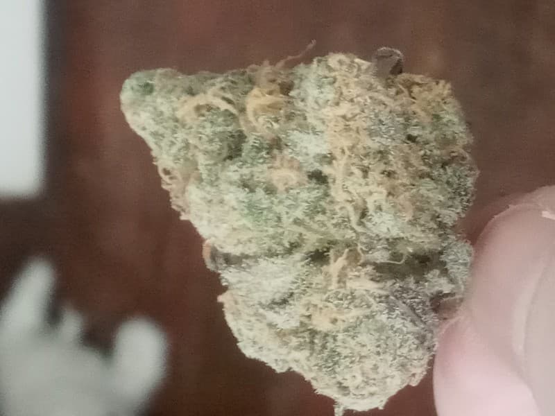 Big Smooth cannabis strain, community photo 3