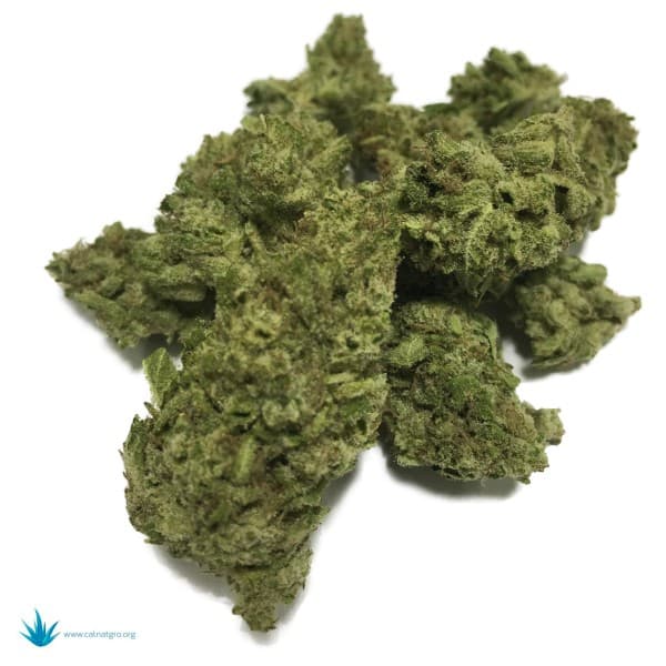 Bio Diesel cannabis strain, community photo 1