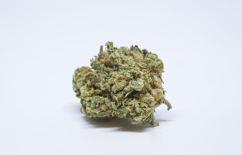 Bio Diesel cannabis strain, community photo 3