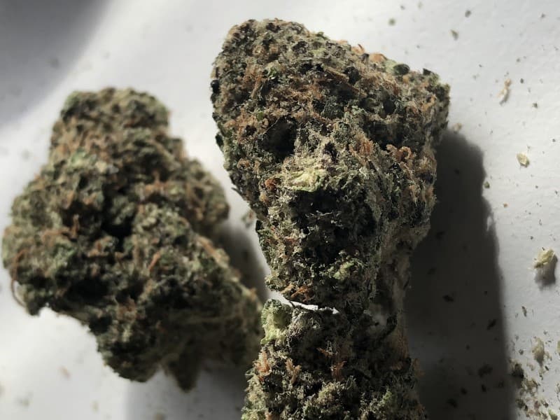 Bio Diesel cannabis strain, community photo 4