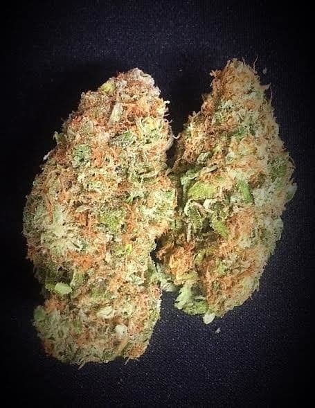 Bio Diesel cannabis strain, community photo 5