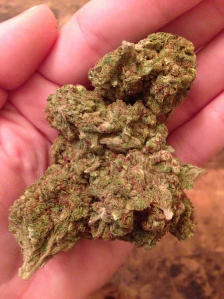 Bio Diesel cannabis strain, community photo 6