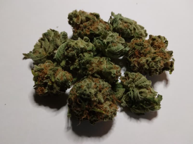 Bio Jesus cannabis strain, community photo 1