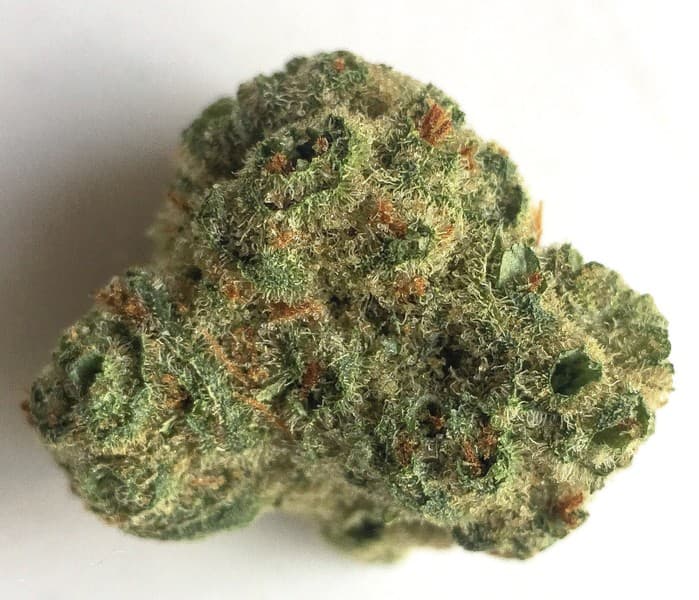 Bio Jesus cannabis strain, community photo 2
