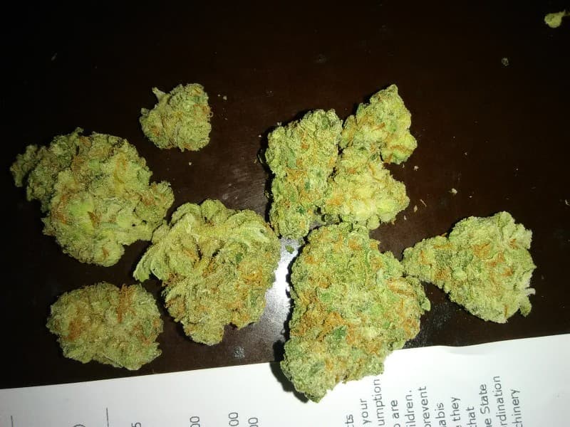 Bio Jesus cannabis strain, community photo 3