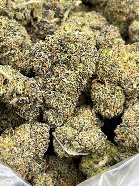 Biscotti cannabis strain, community photo 2
