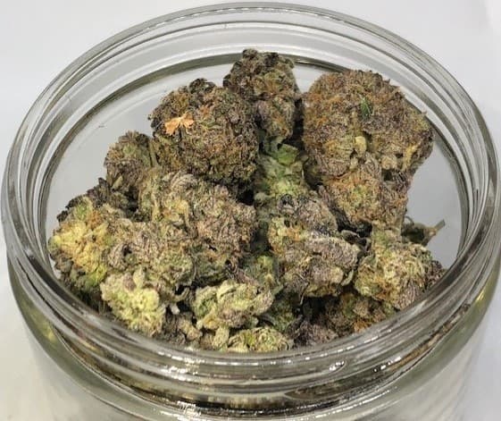 Biscotti cannabis strain, community photo 3