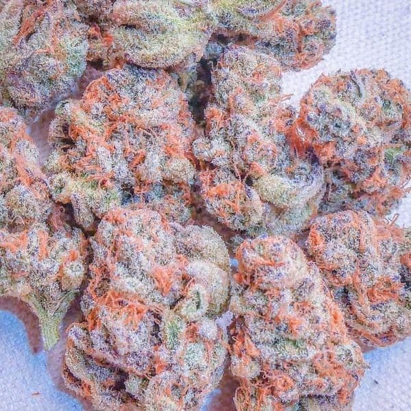 Biscotti cannabis strain, community photo 6