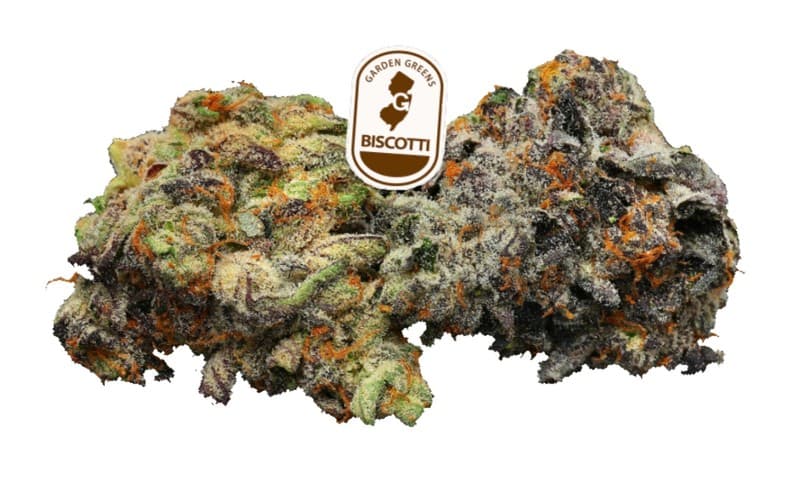 Biscotti cannabis strain, community photo 7