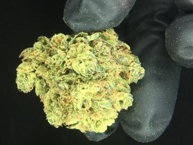 Black Ice cannabis strain, community photo 2