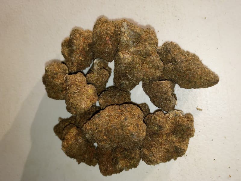Black Ice cannabis strain, community photo 3