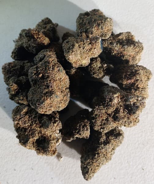 Black Ice cannabis strain, community photo 4