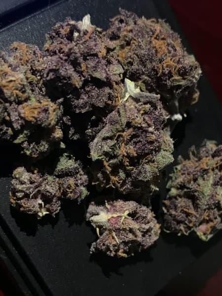 Black Ice cannabis strain, community photo 5