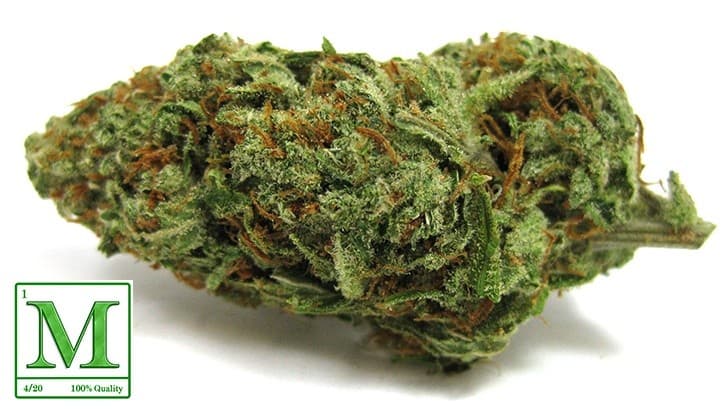 Black Jack cannabis strain, community photo 4