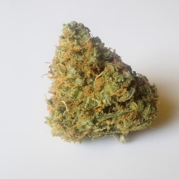 Black Jack cannabis strain, community photo 5