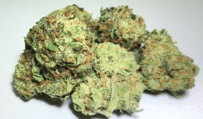 Black Jack cannabis strain, community photo 6