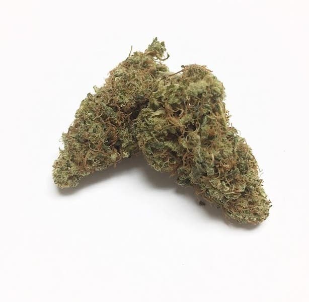Black Lime cannabis strain, community photo 1