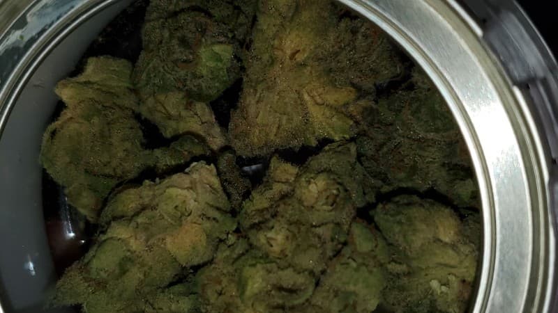 Black Lime cannabis strain, community photo 2