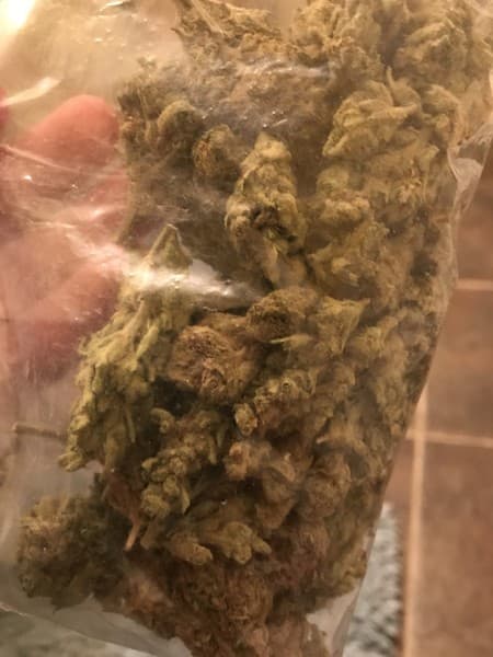 Black Lime cannabis strain, community photo 3