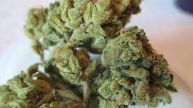 Black Lime cannabis strain, community photo 5