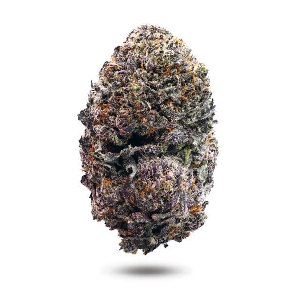 Black Mamba cannabis strain, community photo 1