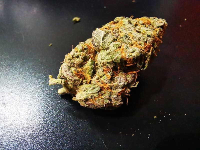 Black Mamba cannabis strain, community photo 2