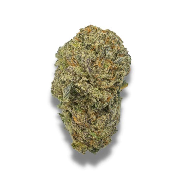 Black Mamba cannabis strain, community photo 3