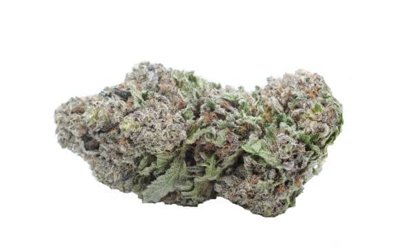 Black Mamba cannabis strain, community photo 6