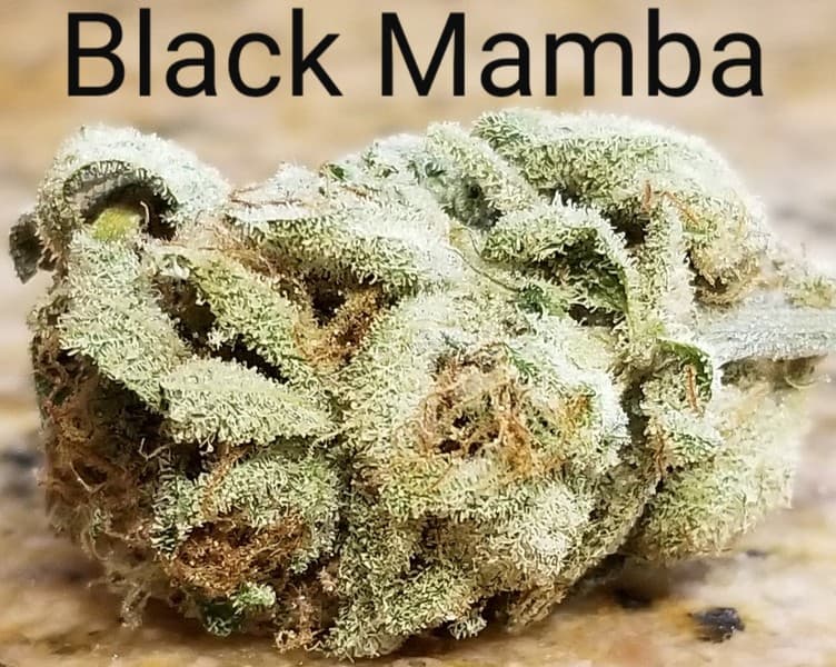 Black Mamba cannabis strain, community photo 8