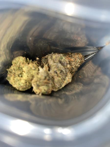 Black Runtz cannabis strain, community photo 2