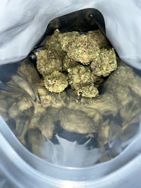 Black Runtz cannabis strain, community photo 4