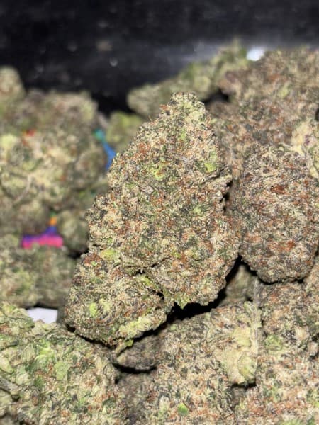 Black Runtz cannabis strain, community photo 5