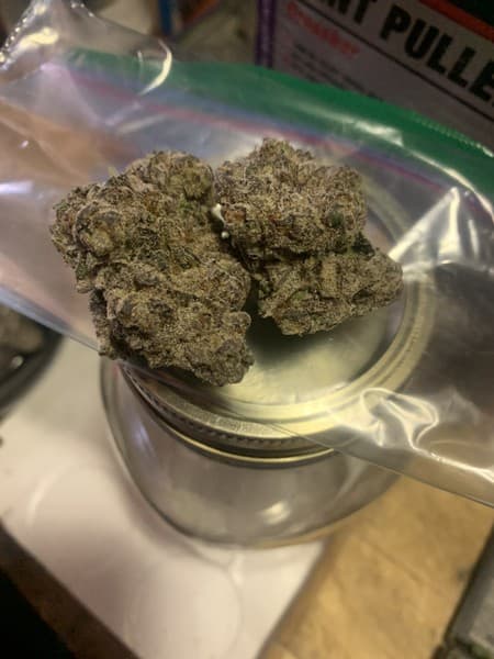 Black Runtz cannabis strain, community photo 6