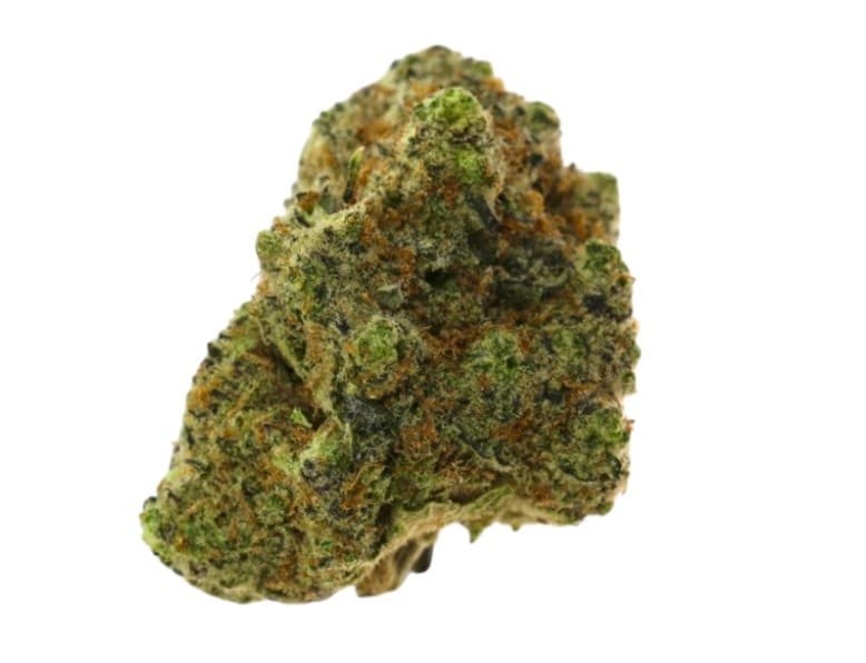 Black Tuna cannabis strain, community photo 1