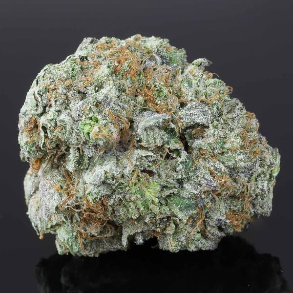 Black Tuna cannabis strain, community photo 4