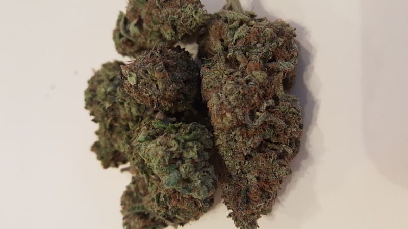 Black Widow cannabis strain, community photo 1