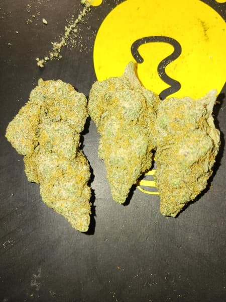Black Widow cannabis strain, community photo 4