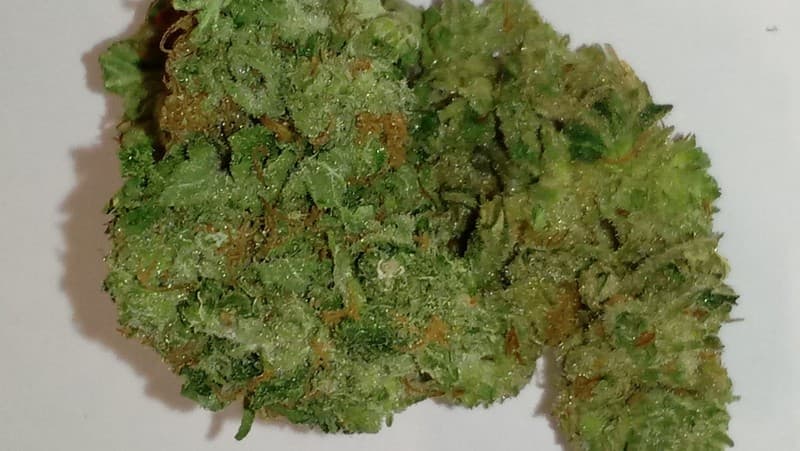 Blackberry cannabis strain, community photo 2