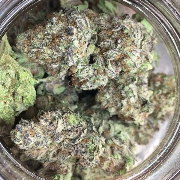 Blackberry cannabis strain, community photo 5